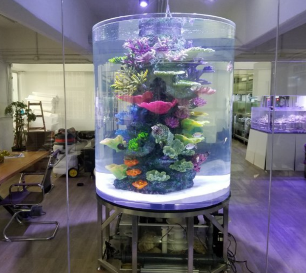 Aquarium modern dan canggih dengan bentuk silinder